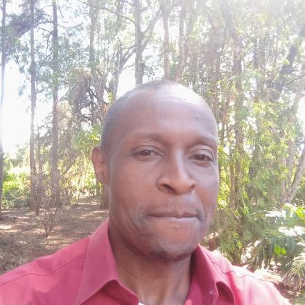 MICHAEL NYAGA's picture