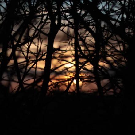 Dale Brink's picture