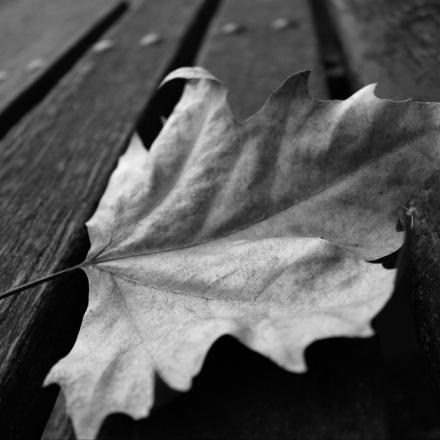 Daniel Schulte's picture