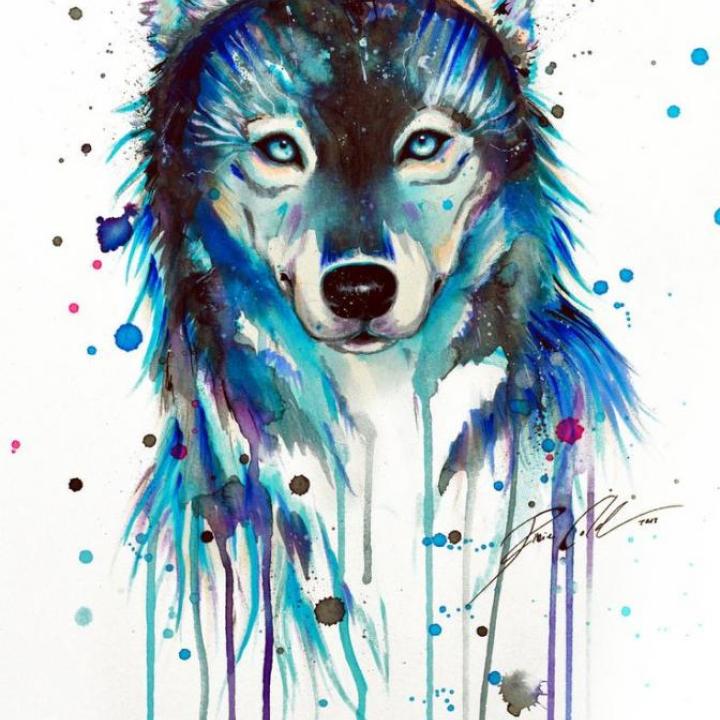 Niko Hayds's picture